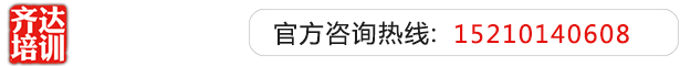 抽插白虎嫩肉齐达艺考文化课-艺术生文化课,艺术类文化课,艺考生文化课logo